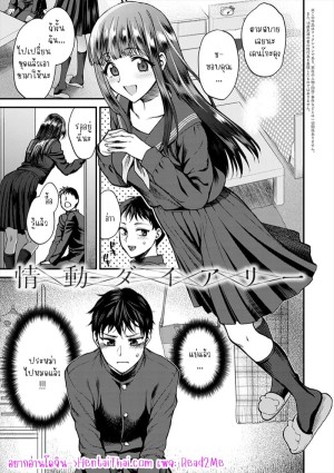 อ่านโดจิน ไดอารี่ลับสื่อรัก แปลไทย