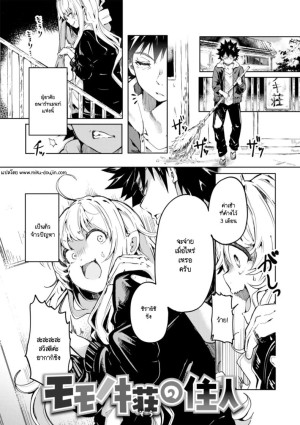 อ่านโดจิน ยัยเด็กโปกค้างค่าเช่า แปลไทย