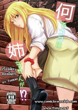 อ่านโดจิน เริื่องลับๆของพี่สาว แปลไทย