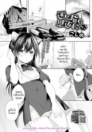 อ่านโดจิน น้องแมวหลงทาง 3 แปลไทย