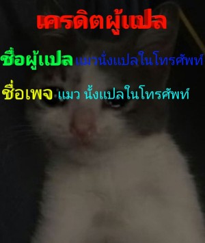 อ่านโดจิน เธอคนนั้น คือฉันอีกคน แปลไทย